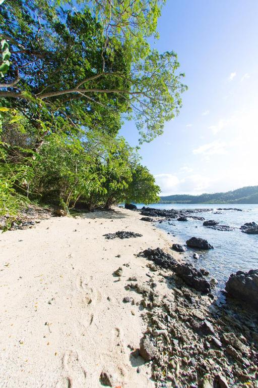Sau Bay Resort - Off Taveuni Na Sau Bay Экстерьер фото