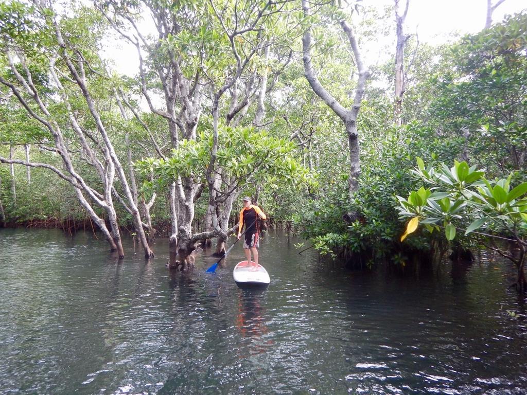 Sau Bay Resort - Off Taveuni Na Sau Bay Экстерьер фото