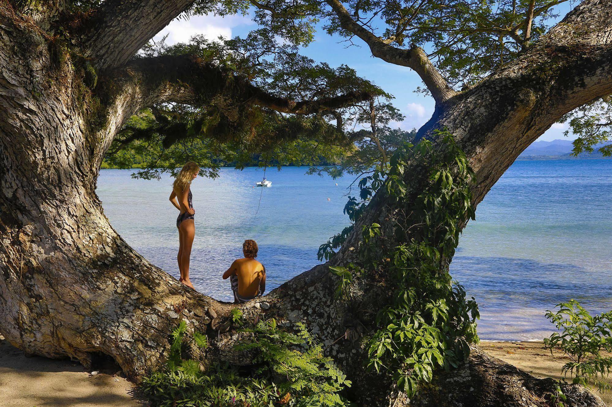 Sau Bay Resort - Off Taveuni Na Sau Bay Экстерьер фото